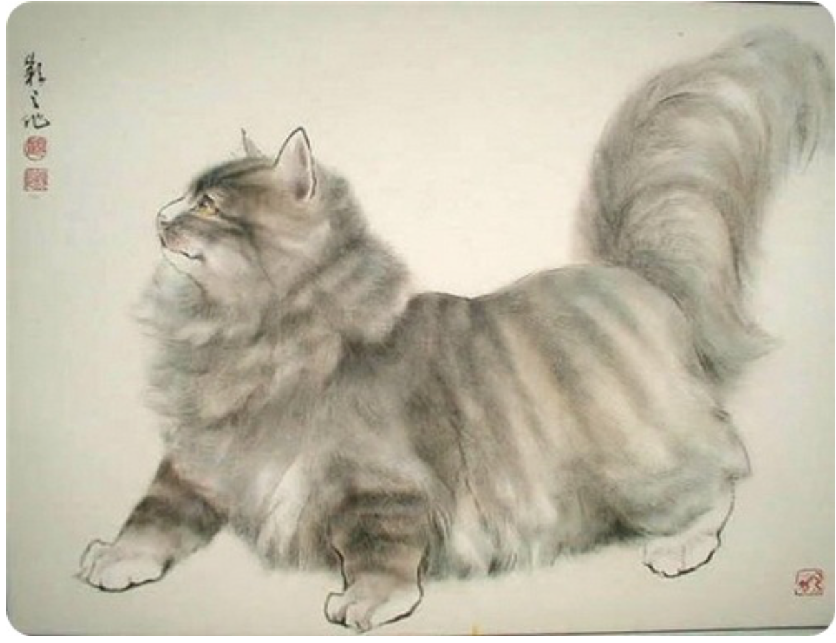 Китайские коты ГУ Йинчжи